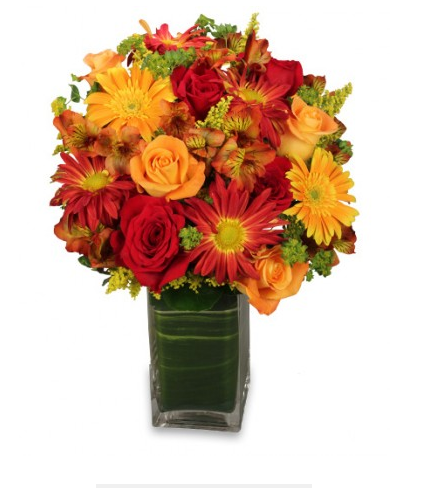 College Park Flowers | 111 Clarence Biesenthal Dr, Oshawa, ON L1K 2H5, Canada | Phone: (905) 436-3068