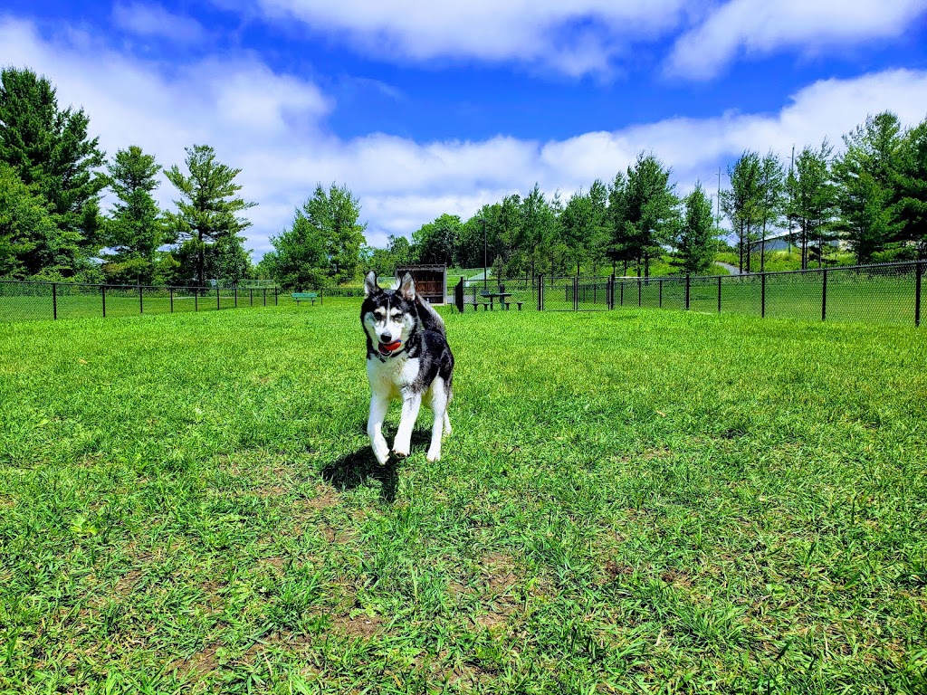Carleton Place Dog Park | 430 Edmond St N, Carleton Place, ON K7C 3G2, Canada | Phone: (613) 257-1005