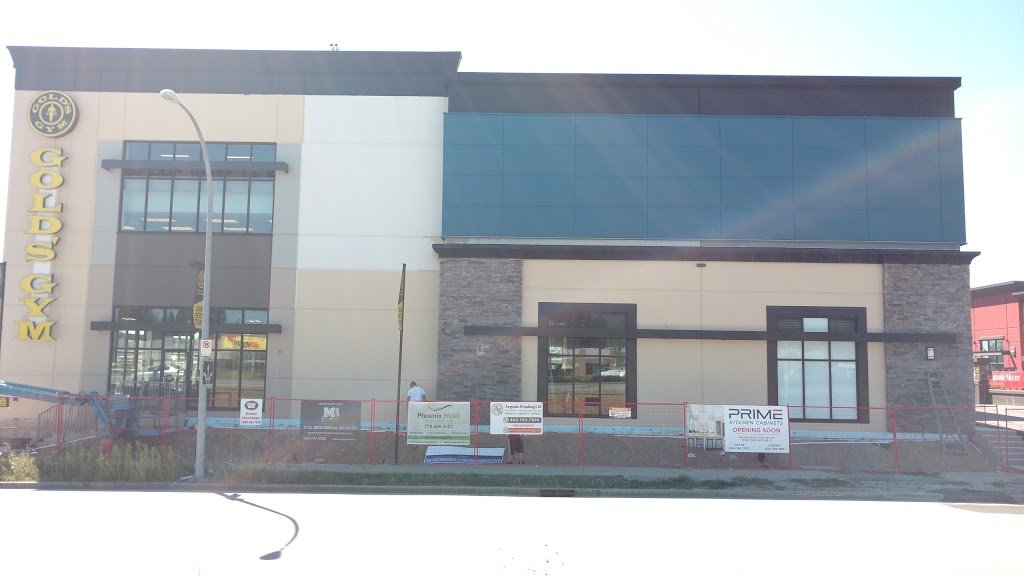Golds Gym Langley | 19989 81a Ave, Langley City, BC V2Y 0C7, Canada | Phone: (604) 882-4653
