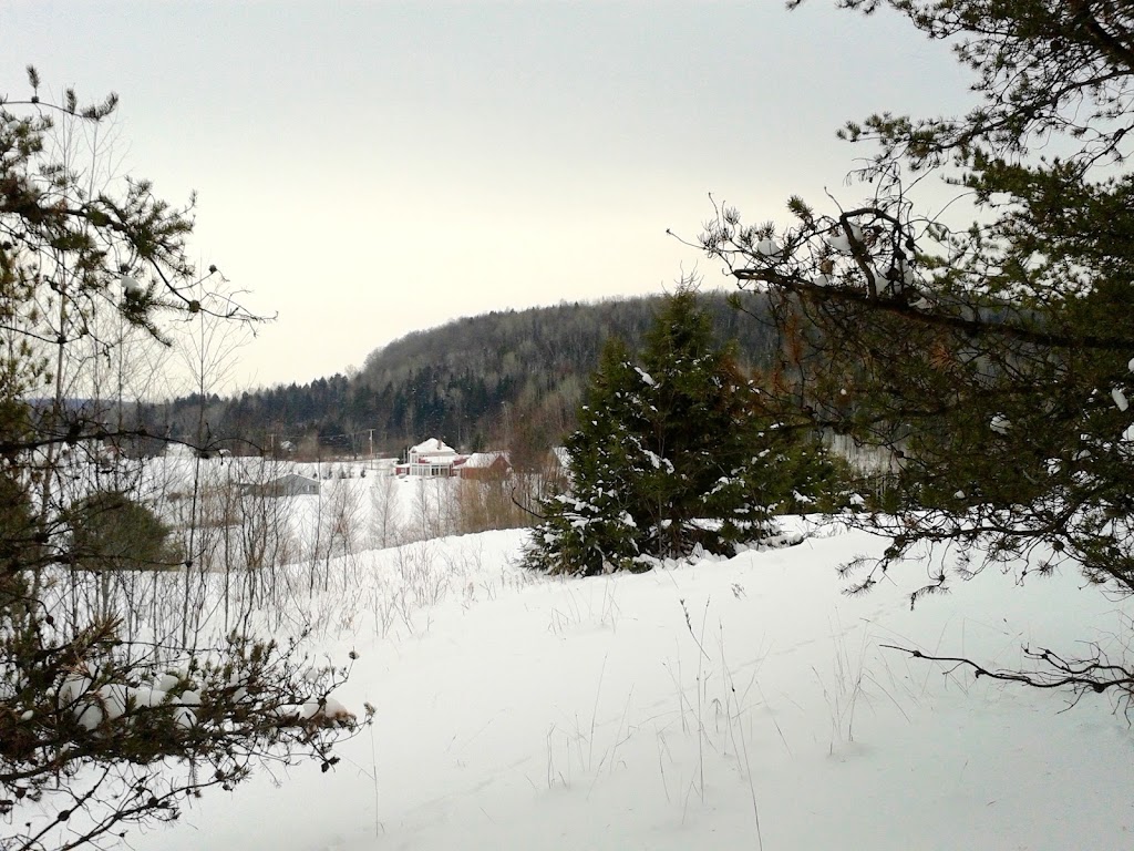 Domaine La Seigneurie de Lamoureux | rue Jasmine, Rang St Joseph, Sainte-Béatrix, QC J0K 1Y0, Canada | Phone: (514) 945-7456