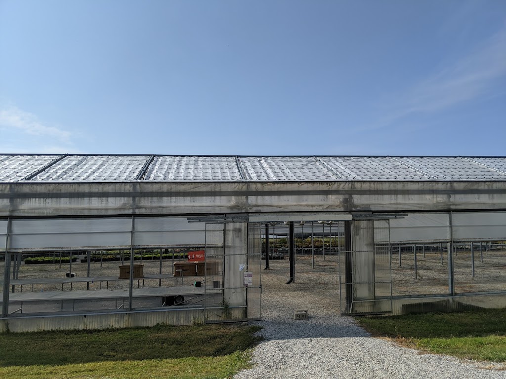 Kayanase | 993 Brant County Hwy 54, Caledonia, ON N3W 2G9, Canada | Phone: (519) 770-0013
