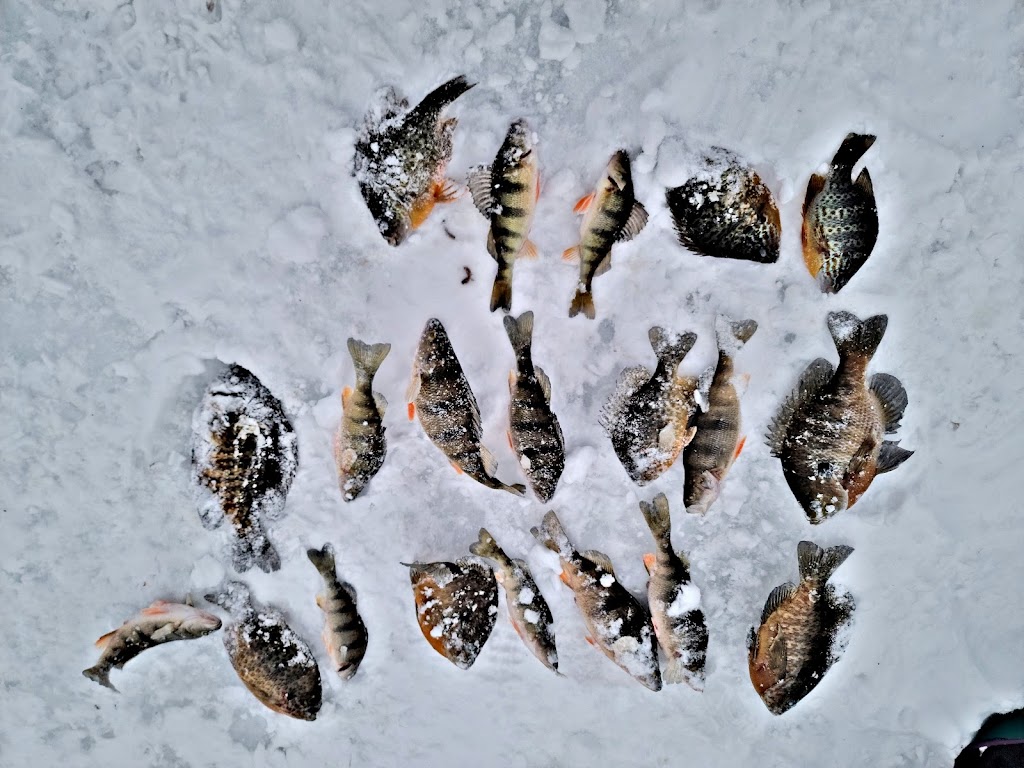 Centre de pêche sur glace | 340 Route du Long-Sault, Saint-André-dArgenteuil, QC J0V 1X0, Canada | Phone: (450) 537-3100