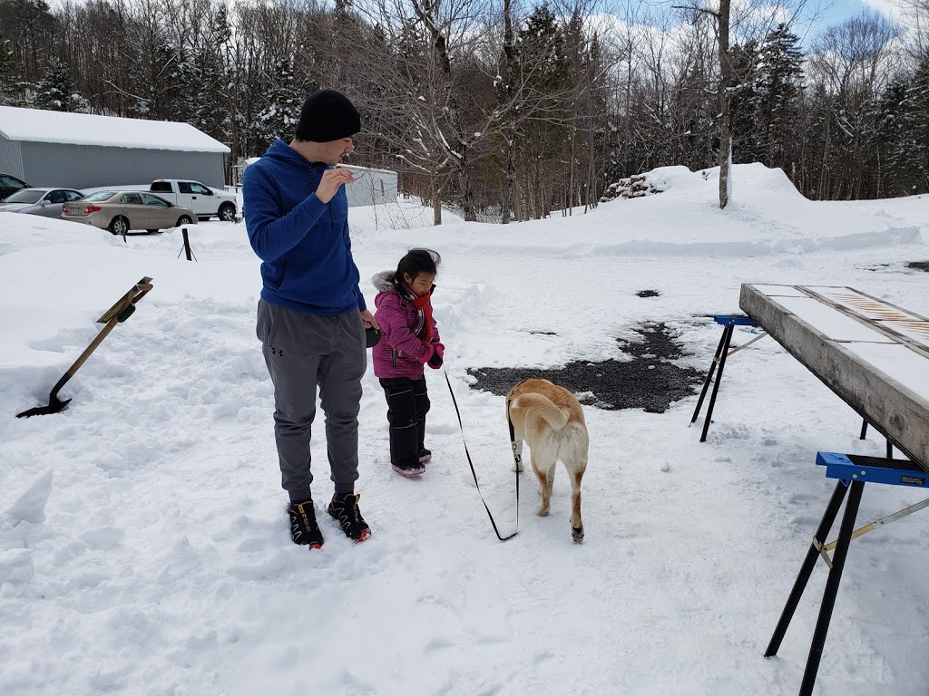 Cabane à Sucre L.Parent | Notre-Dame-des-Laurentides, Québec, QC G2M 1P9, Canada