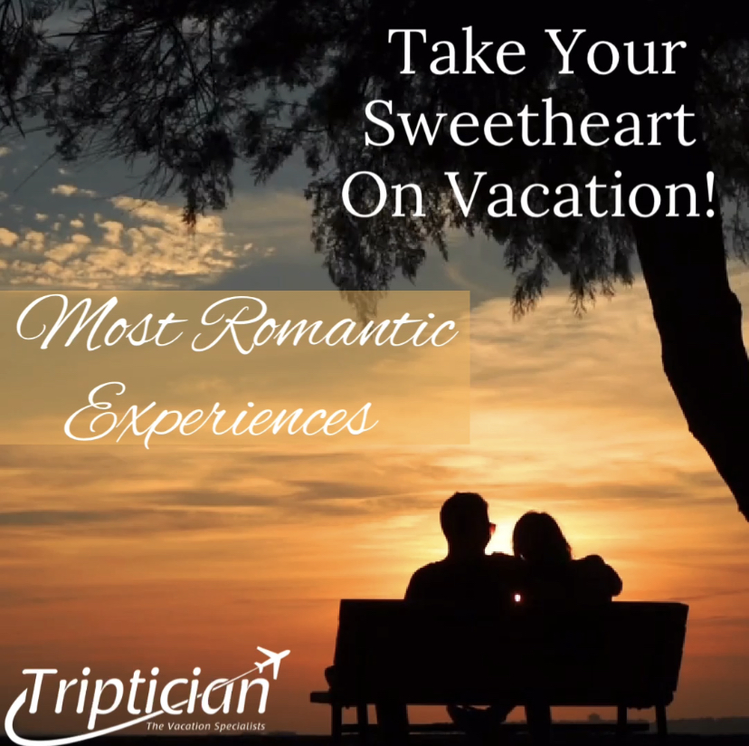 Triptician.ca | 1704 15 Ave, Invermere, BC V0A 1K4, Canada | Phone: (250) 341-5751