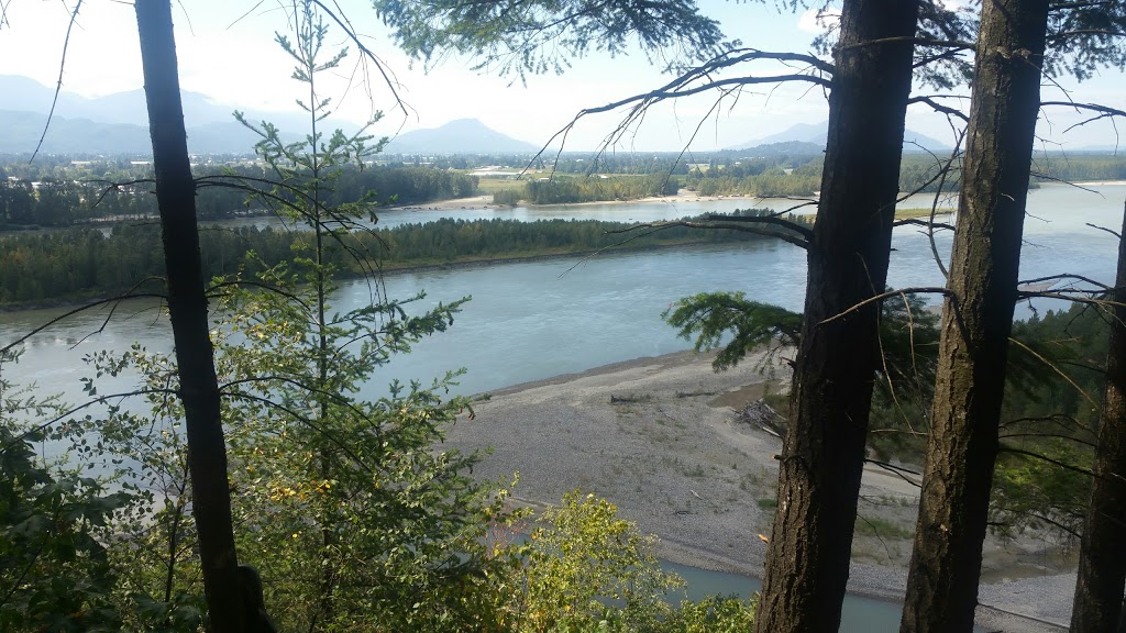 CANADAS BAMBOO WORLD | 8450 Banford Rd, Chilliwack, BC V2P 6H3, Canada | Phone: (604) 792-9003