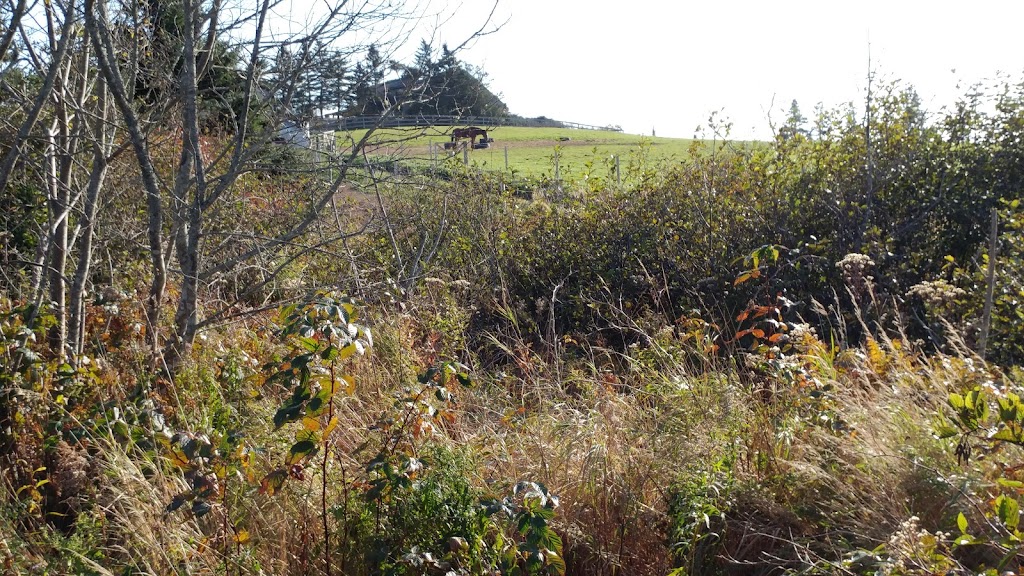 Sambea Farm | 79 Conrad Rd, Lawrencetown, NS B2Z 1S1, Canada | Phone: (902) 488-9607