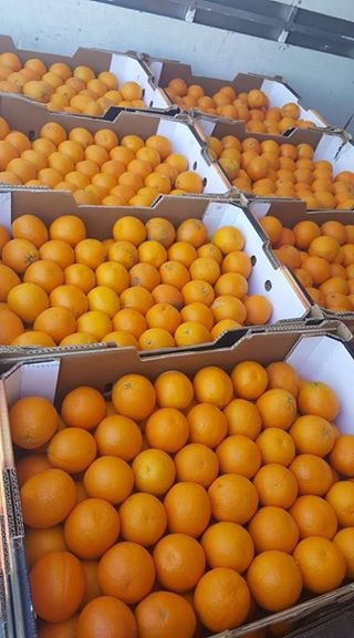 Valley Produce | 32031 Joyce Ave, Abbotsford, BC V2T 1B6, Canada | Phone: (604) 866-1859
