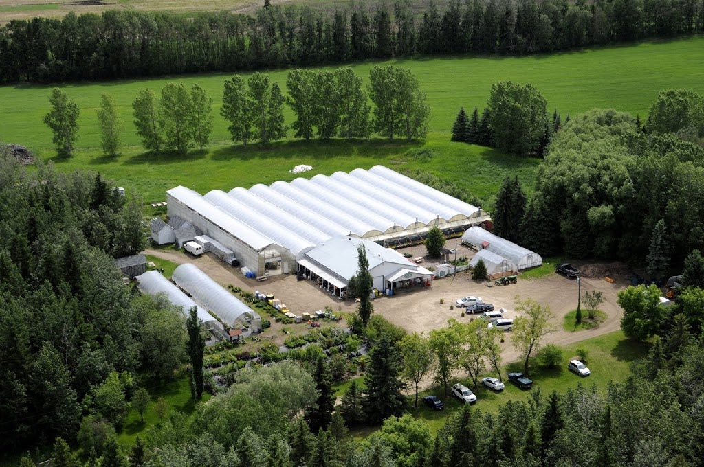 Arber Greenhouses Ltd | Wetaskiwin County No. 10, AB T9A 2Y9, Canada | Phone: (780) 352-7520