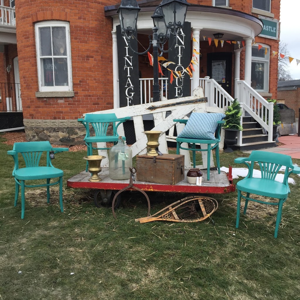 Lillifrog | 1285 Bayfield St, Midhurst, ON L0L 1X0, Canada | Phone: (705) 718-3078