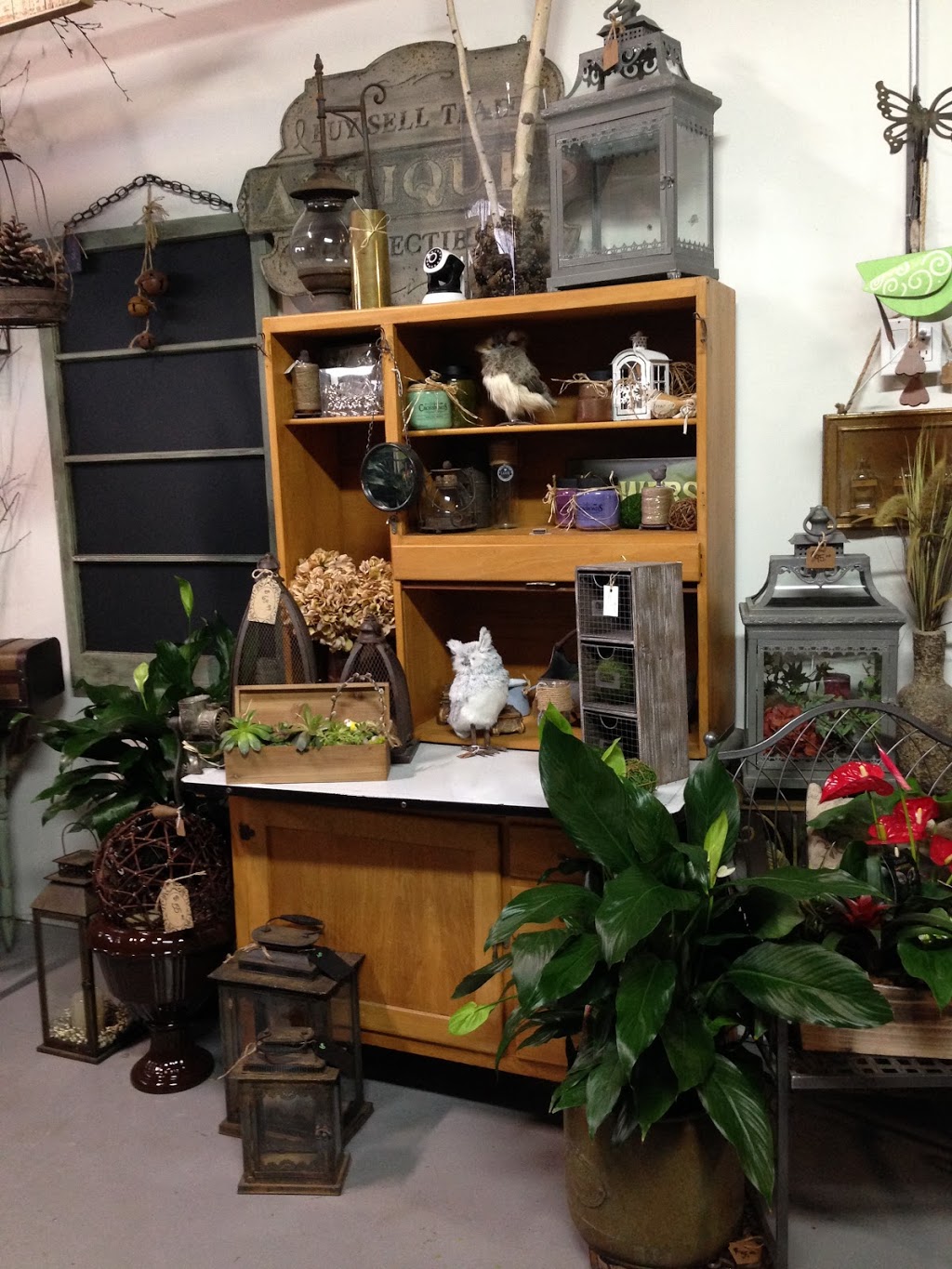 Aurora Greenhouse | 225 Industrial Pkwy S Unit 23, Aurora, ON L4G 3V5, Canada | Phone: (905) 727-4651