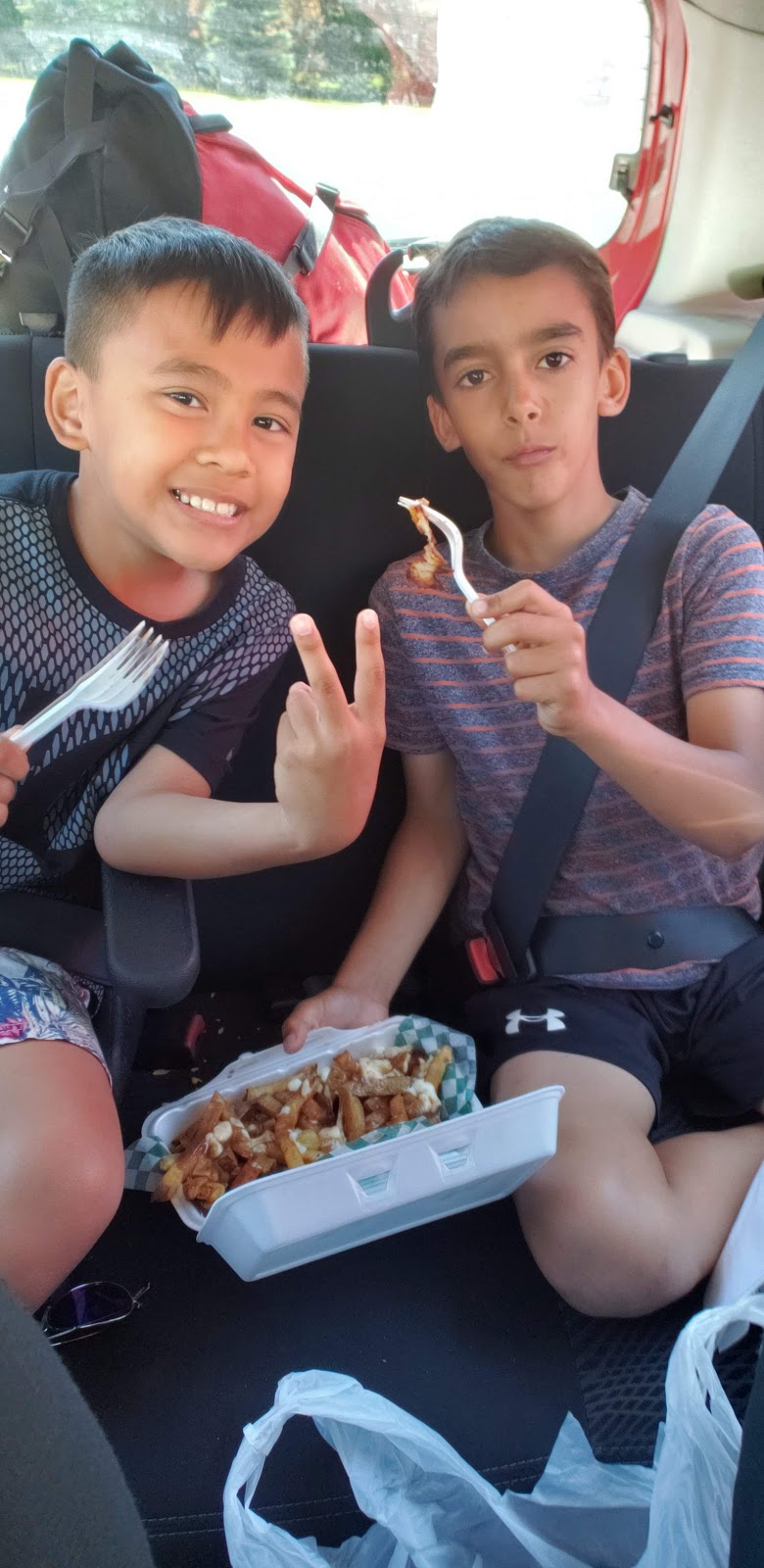 Perkys fish and chip | 165 County Rd 6 S, Tiny, ON L0L 2J0, Canada
