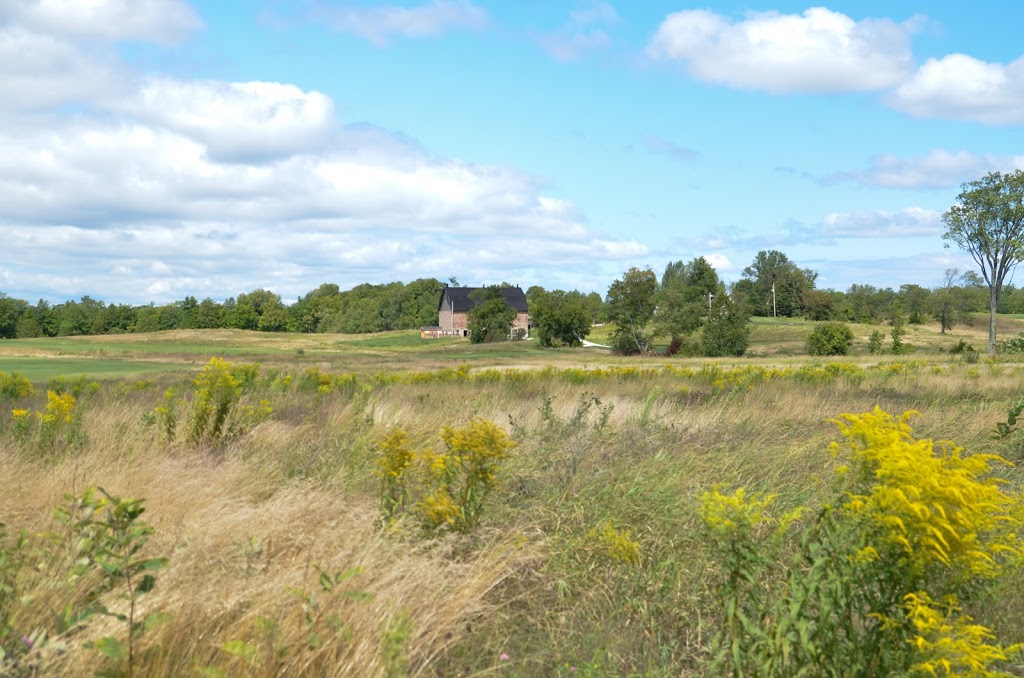 The Links at Moncks Landing | 155 Hiltons Point Rd, Norland, ON K0M 2L0, Canada | Phone: (705) 454-0591