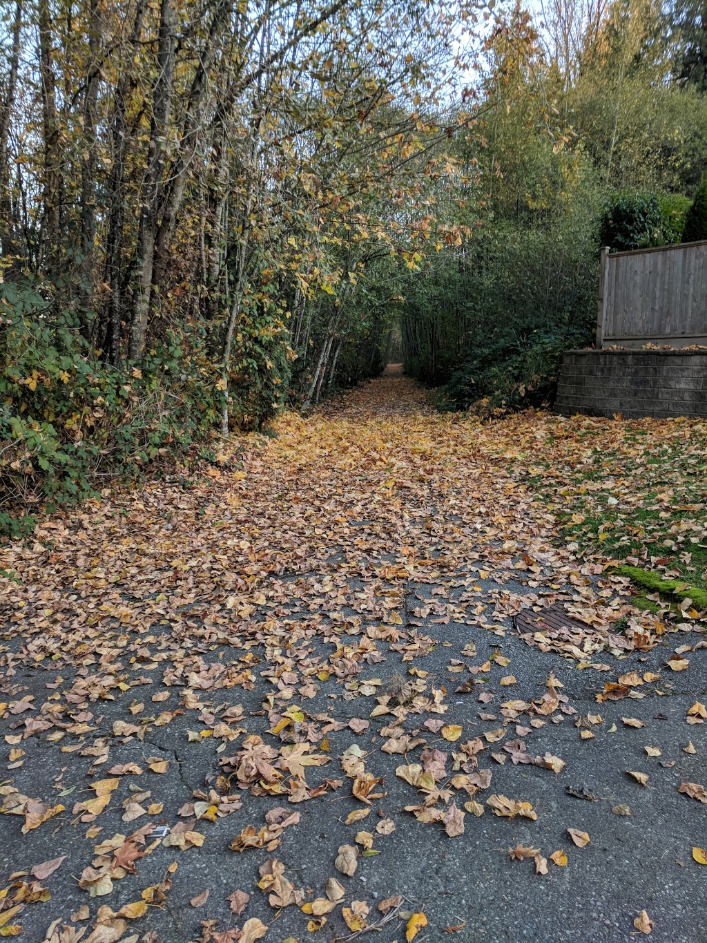 North Slope Buffer Park | Surrey, BC V4N 5E1, Canada