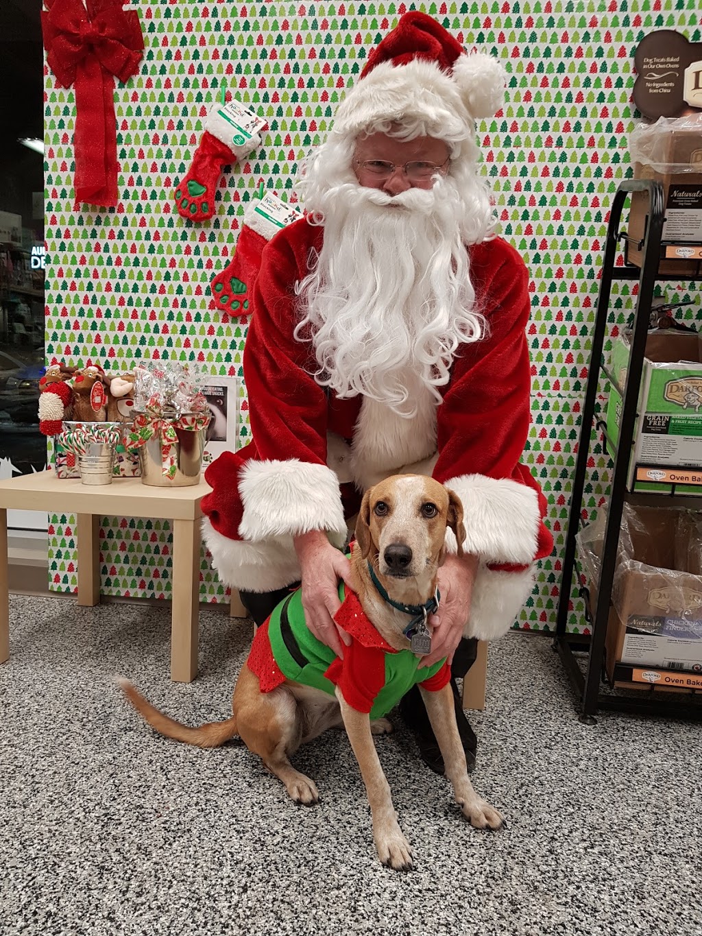 Pet Planet Auburn Bay | 100 Auburn Meadows Drive Southeast #322, Calgary, AB T3M 2G5, Canada | Phone: (403) 452-1762