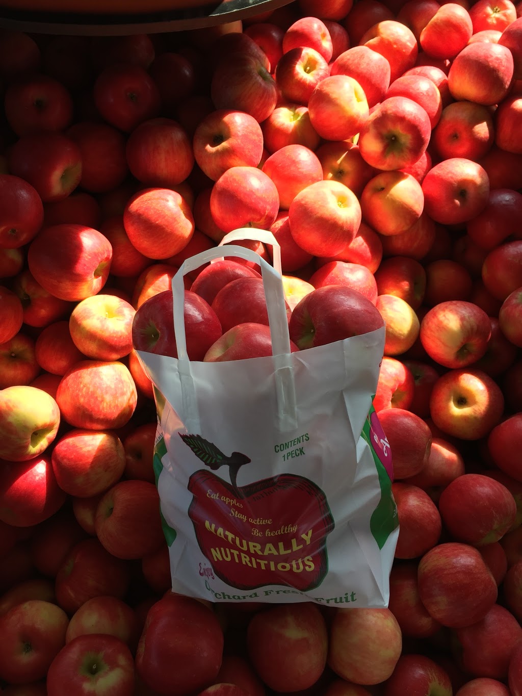 Petch Agricultural Enterprises Inc | 431 Rte 202 Ouest (West), Hemmingford, QC J0L 1H0, Canada | Phone: (450) 247-3414