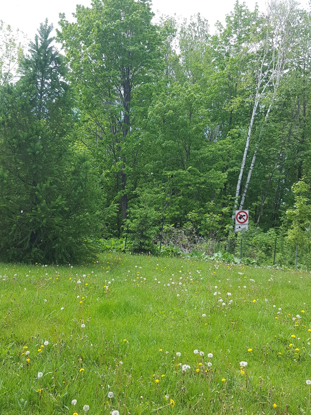 Parc dAoust | Rue dAoust, Gatineau, QC J8R 1X3, Canada | Phone: (819) 595-2002
