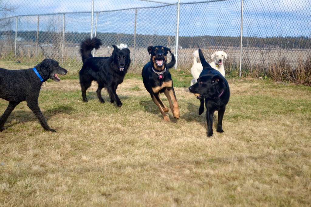 Oak Meadows Pet Resort | 1848 Upper Dwyer Hill Rd, Carp, ON K0A 1L0, Canada | Phone: (613) 256-0500