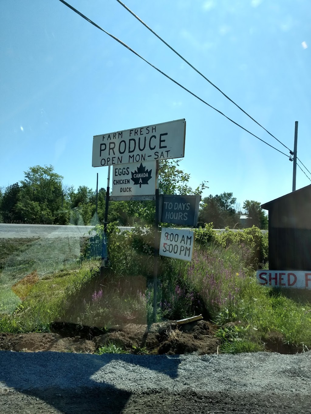 Farm Fresh Produce | 5653 ON-60, Douglas, ON K0J 1S0, Canada | Phone: (647) 821-7883