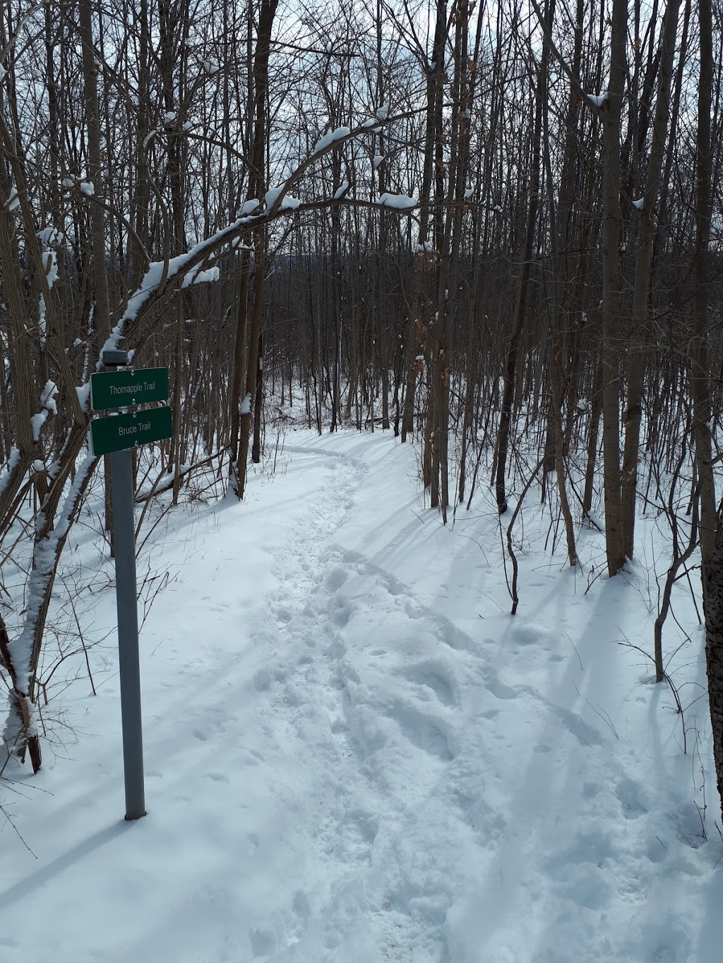 Royal Botanical Gardens Berry Tract | Bruce Trail, Dundas, ON L9H 5S7, Canada | Phone: (905) 527-1158