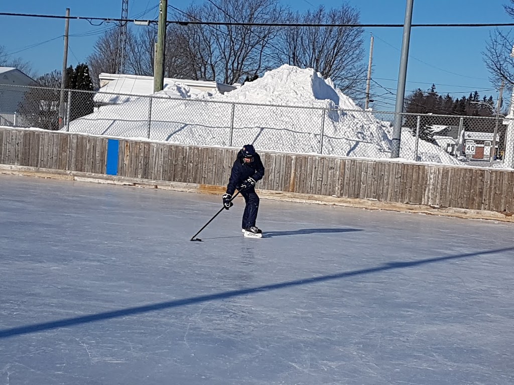 Parc Ovila-Bernier | 400 Rue Henri Léveillé, Saint-Lin - Laurentides, QC J5M 2T2, Canada