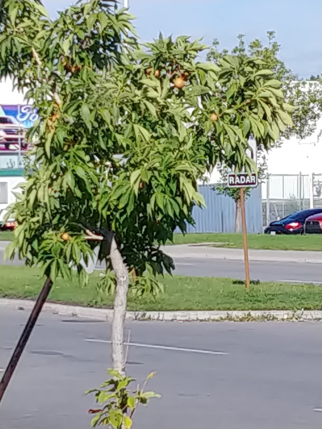 Centre dIntervention de Crise et de prévention du suicide la Ma | 2 Boulevard DAnjou, Châteauguay, QC J6K 1B7, Canada | Phone: (450) 699-5935