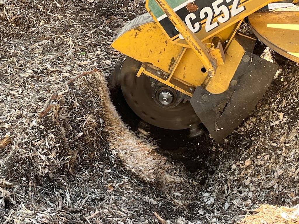 Stump Grinding Tree Service | 167 Edgemont Estates Dr NW, Calgary, AB T3A 2M4, Canada | Phone: (587) 586-1866