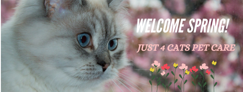 Just 4 Cats Pet Care | 885 Southdale Rd W #1112, London, ON N6P 0C5, Canada | Phone: (519) 709-4578