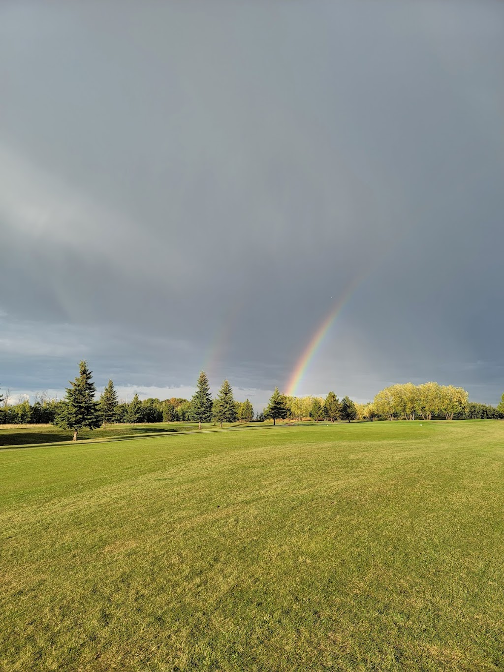 Meadowlands Golf Club At Sylvan Lake | 3101 50 St, Sylvan Lake, AB T4S 0P7, Canada | Phone: (403) 887-5100