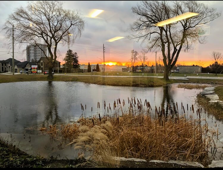 Dr. Craig Lyons, Chiropractor | 101-1807 Wonderland Rd N, London, ON N6G 5C2, Canada | Phone: (519) 641-2220
