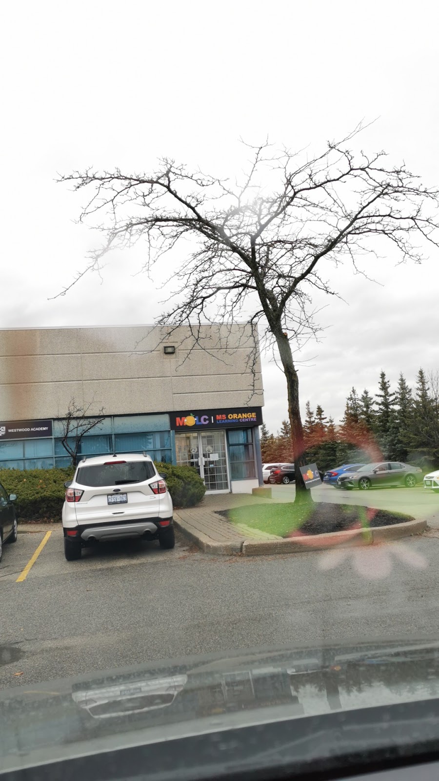 Ms Orange Learning Centre | 40 Vogell Rd Unit 1-3, Richmond Hill, ON L4B 3N6, Canada | Phone: (647) 723-3777