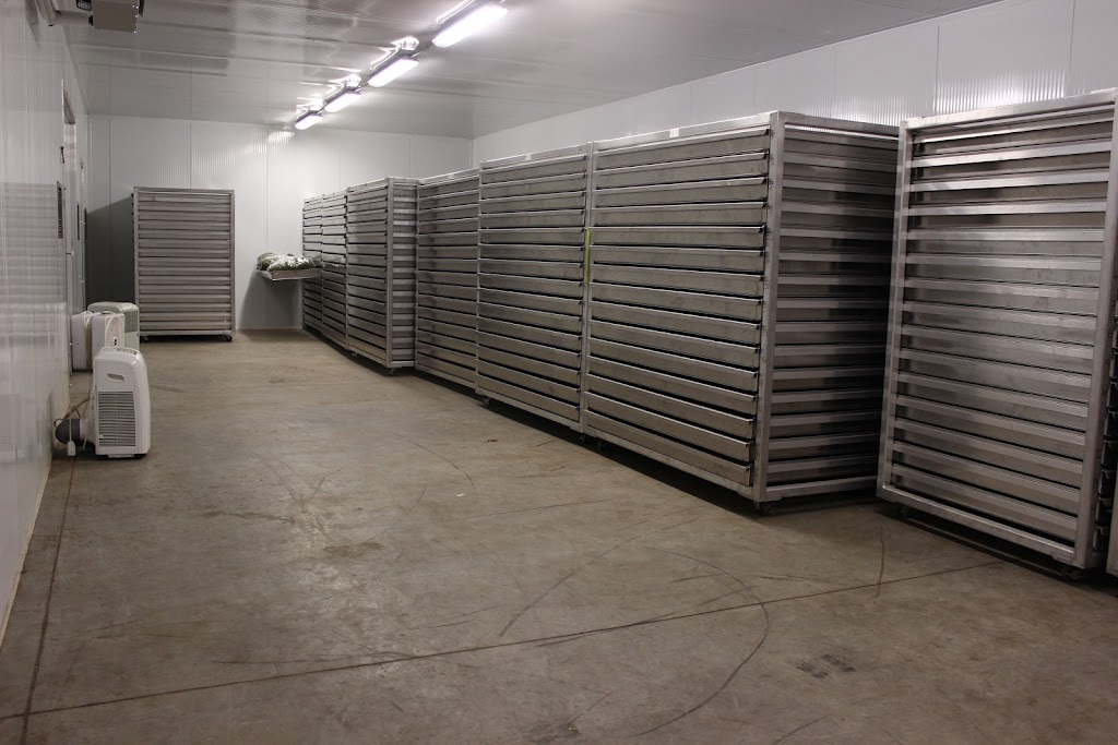 Labrador production | Rang St Joseph N, Maria-Chapdelaine, QC G0W, Canada | Phone: (418) 637-8816