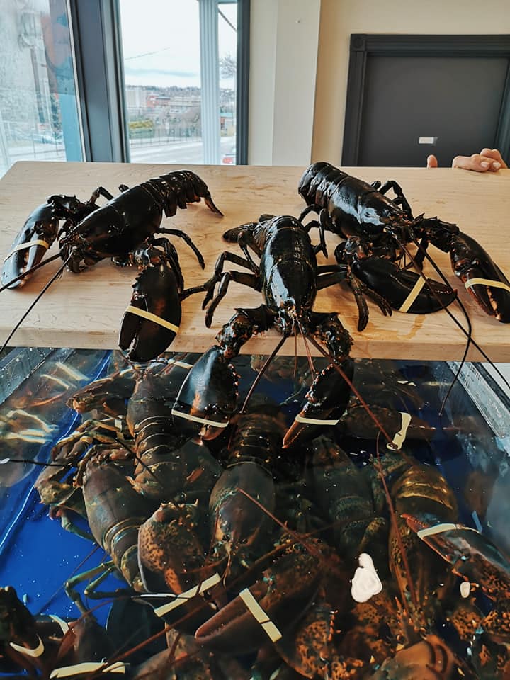 Marché de poisson Sherbrooke Inc | 256 Rue Marquette, Sherbrooke, QC J1H 4K2, Canada | Phone: (819) 569-4950
