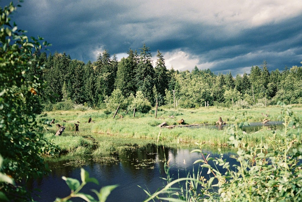 Silverdale Creek Wetlands | 31650 Silverdale Ave, Mission, BC V4S 1J8, Canada