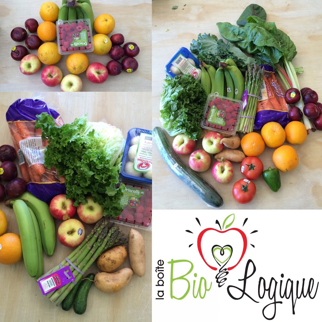 La boîte Bio-Logique | 1467 Montée Paiement, Cantley, QC J8V 3W3, Canada | Phone: (819) 506-6246