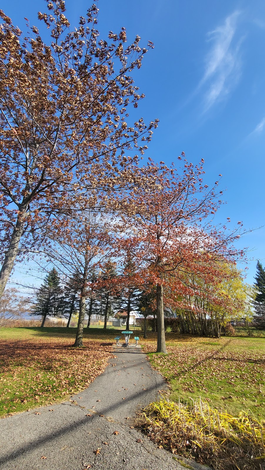 Halte Richelieu | Mnt Robert, Saint-Basile-le-Grand, QC J3N 1M1, Canada | Phone: (450) 461-8000