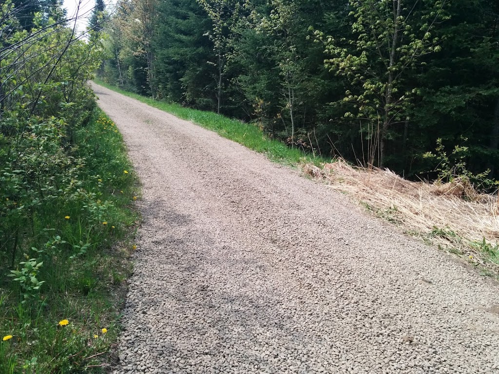 Siegel W W Sand & Gravel | 212 Tv Tower Rd, Pembroke, ON K8A 6W6, Canada | Phone: (613) 732-8867