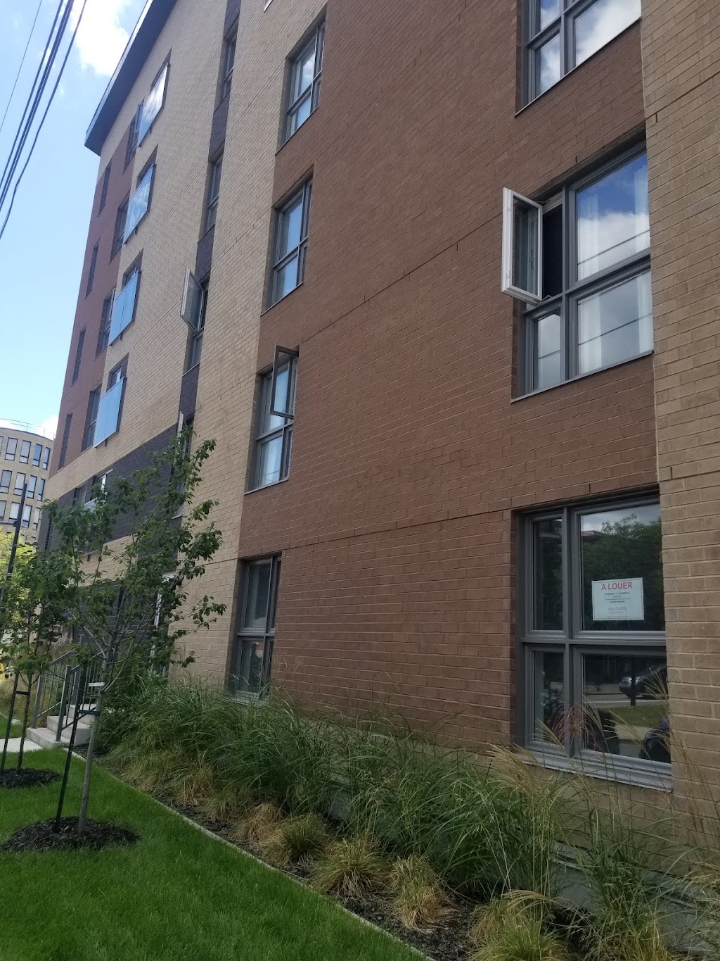 Le DeRome | 3741 Boul Henri-Bourassa E #405, Montréal-Nord, QC H1H 1J9, Canada | Phone: (438) 375-4329