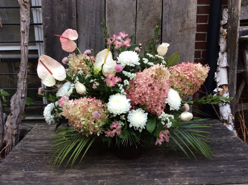 Sweetpeas | 294 Roncesvalles Ave, Toronto, ON M6R 2M4, Canada | Phone: (416) 537-3700