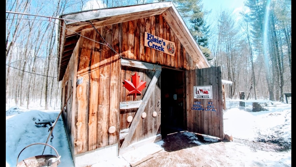 Elsies Creek Maple Syrup | 4279 5 Line N, Coldwater, ON K0C 1H0, Canada | Phone: (705) 816-2144