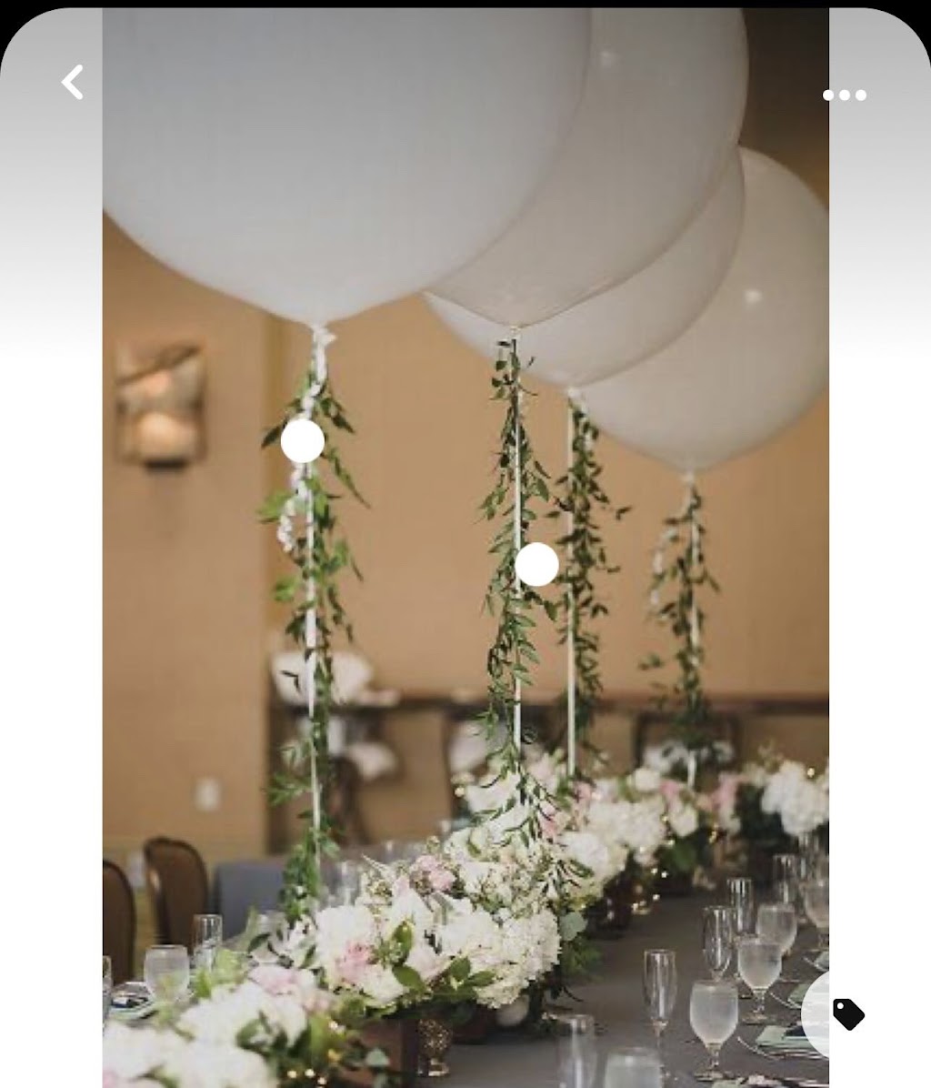 partieloons | Rue Dumouchel, Candiac, QC J5R 6J6, Canada | Phone: (514) 262-2288