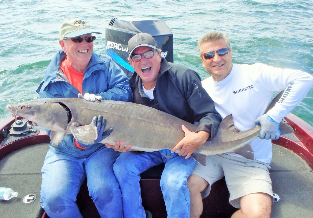 Advanced Bassin Plus | 210 Rue Sommerset, Dollard-des-Ormeaux, QC H9G 2G8, Canada | Phone: (514) 696-1741