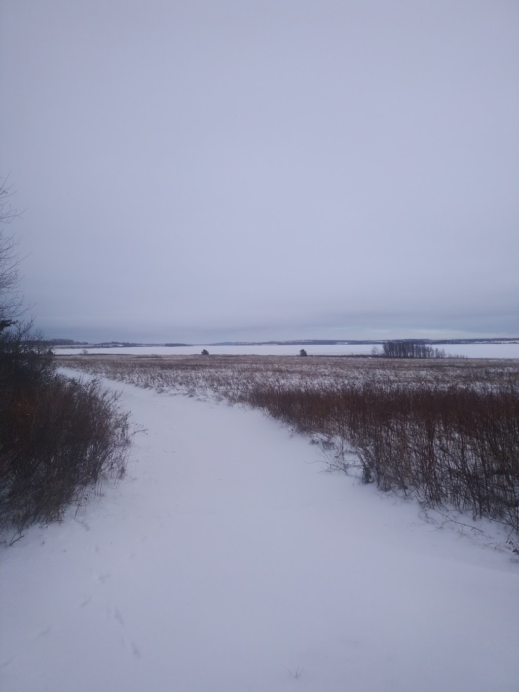 Island Trails Inc. | 112 Longworth Ave, Charlottetown, PE C1A 5S1, Canada | Phone: (902) 894-7535