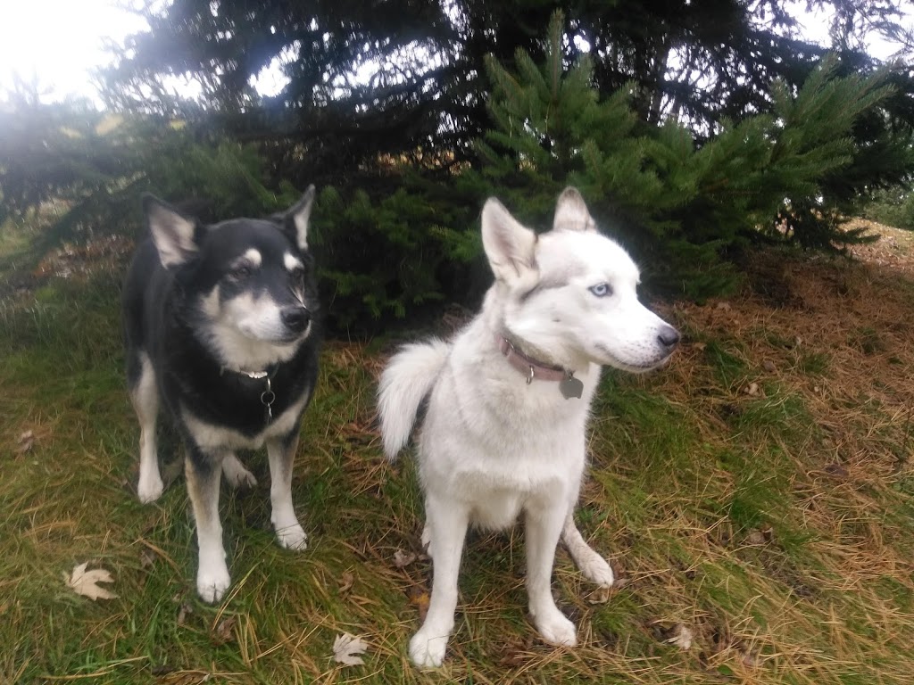 Globe Leash Free Dog Park | Brampton St, Hamilton, ON L8H 6V5, Canada