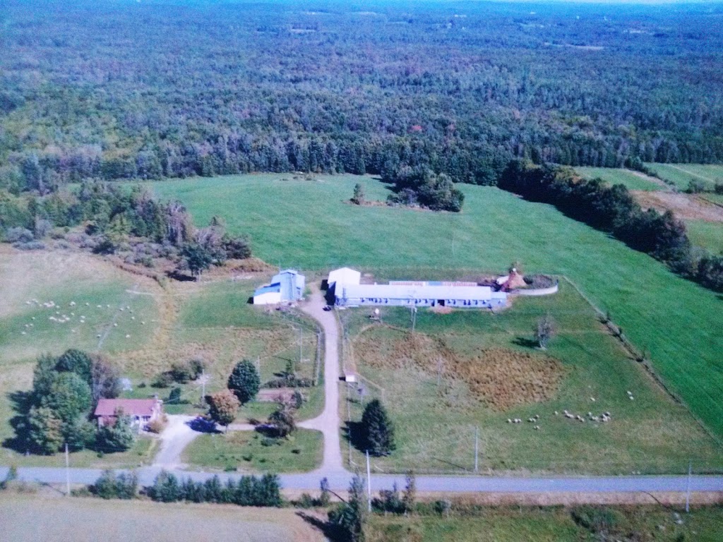 Chateau des Animaux | 380 1e Rang E, Saint-Joachim-de-Shefford, QC J0E 2G0, Canada | Phone: (514) 968-4879