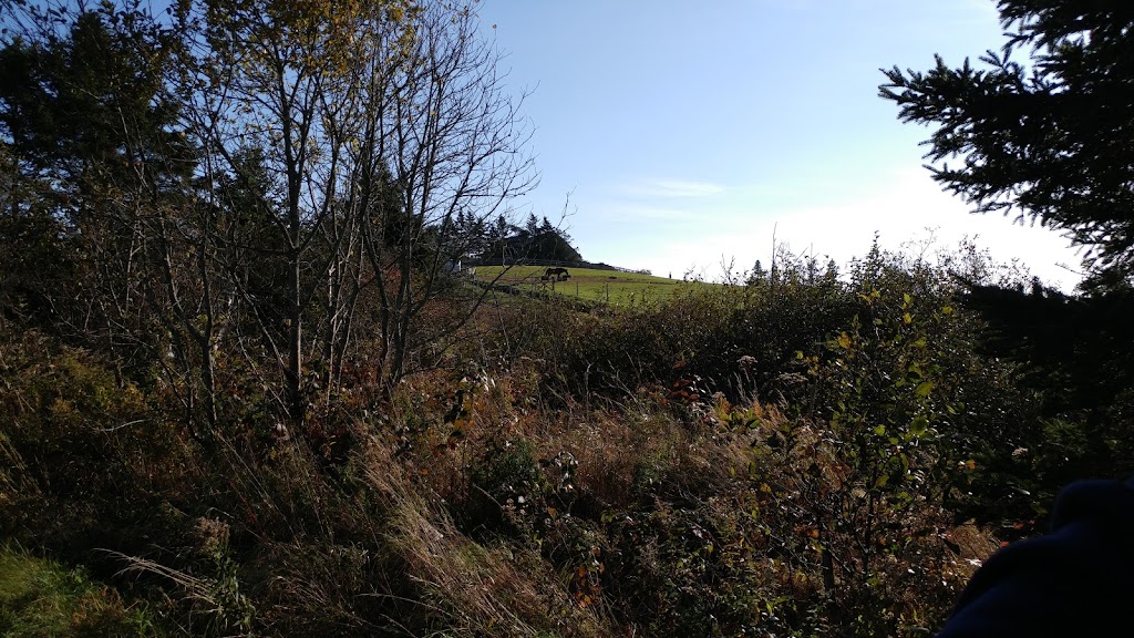 Sambea Farm | 79 Conrad Rd, Lawrencetown, NS B2Z 1S1, Canada | Phone: (902) 488-9607