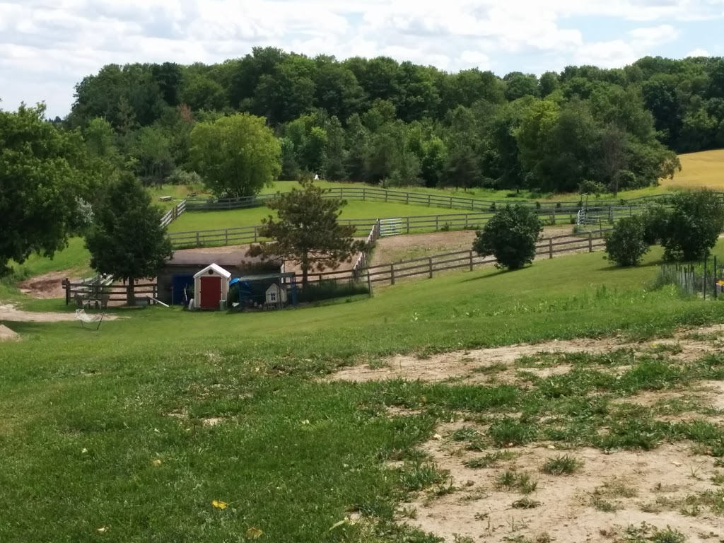 The Big Red Barn Creativity and Wellness Centre | 7171 2 Line, Tottenham, ON L0G 1W0, Canada | Phone: (905) 936-3956