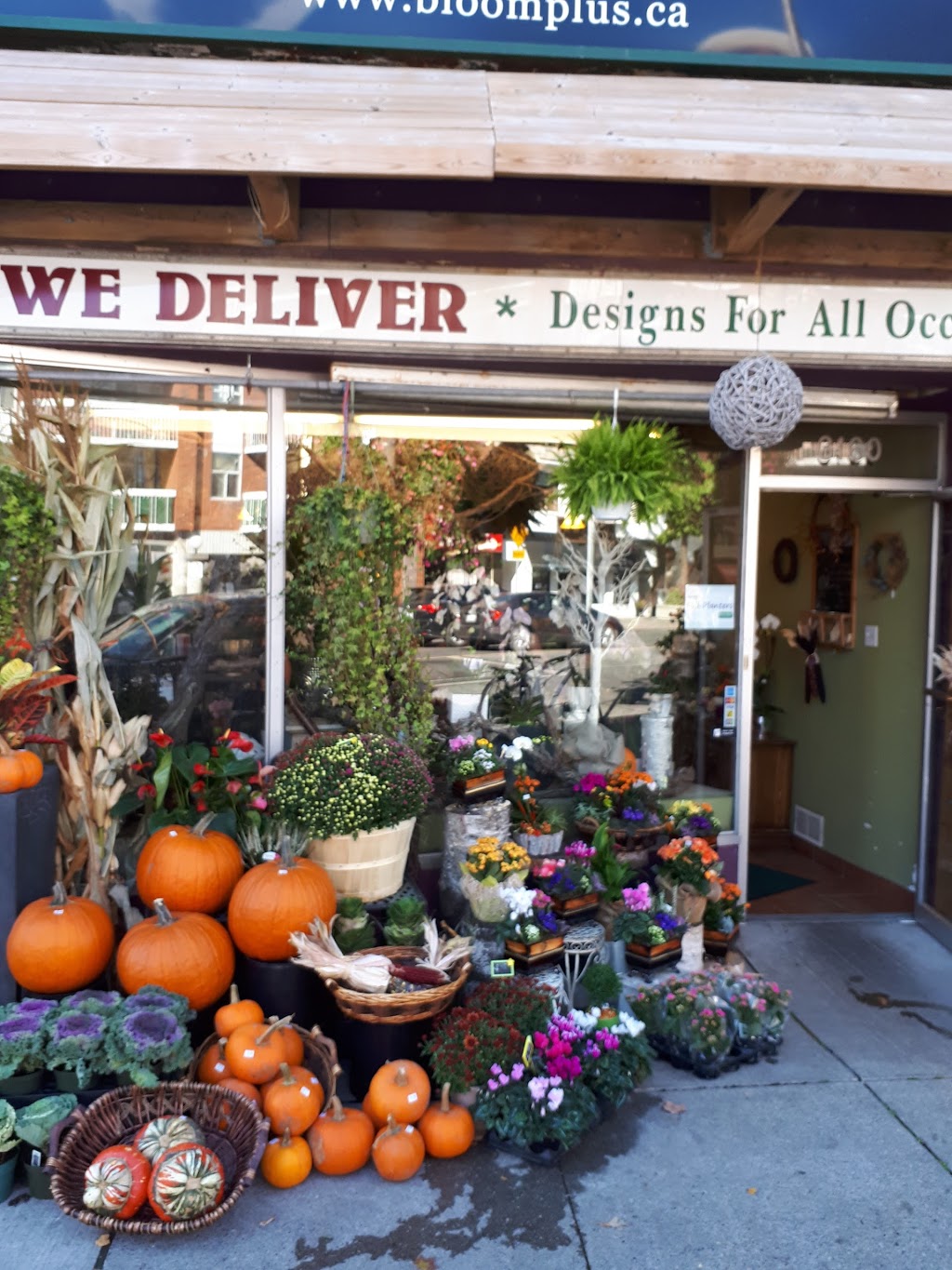 Bloom Plus | 3160 Yonge St, Toronto, ON M4N 2K6, Canada | Phone: (416) 322-0088