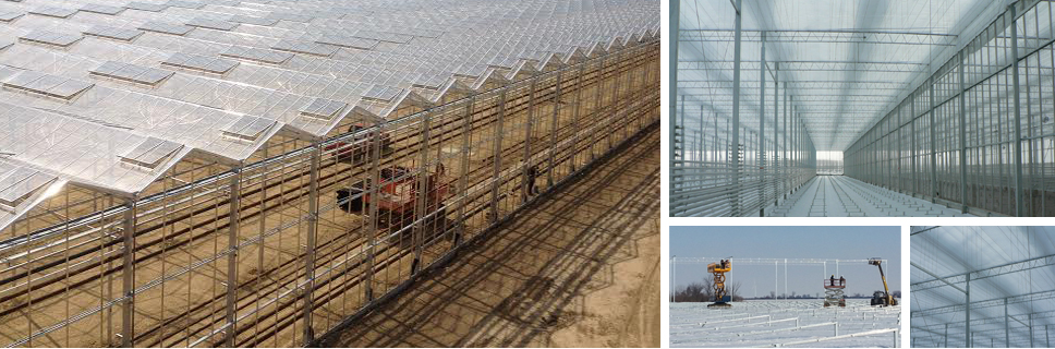 Vine Fresh Acres Ltd. | 420 Essex Road 14, Leamington, ON N8H 3V8, Canada | Phone: (519) 326-8808