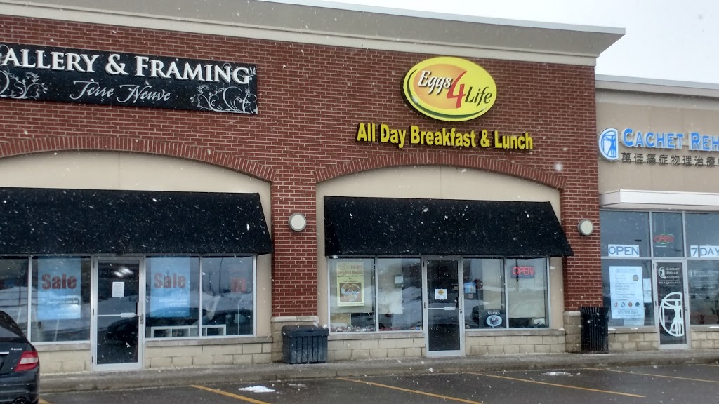 Eggs 4 Life | 115 First Commerce Dr, Aurora, ON L4G 0G2, Canada | Phone: (905) 841-3496