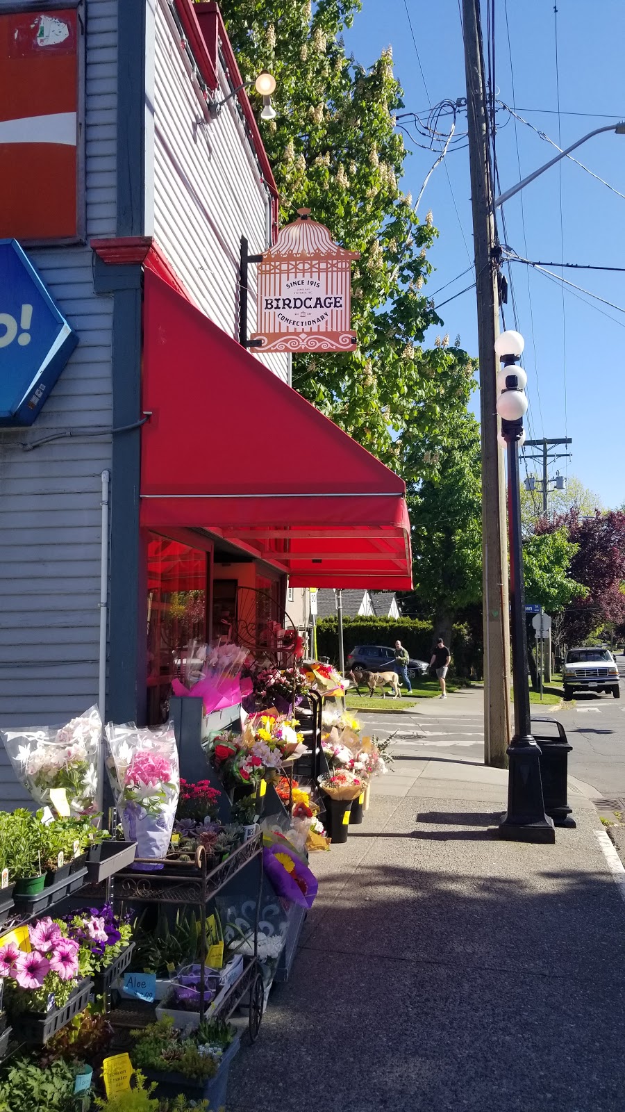 Terrible Truffles at the Birdcage Confectionary | 501 Government St, Victoria, BC V8V 2L6, Canada | Phone: (250) 381-3832